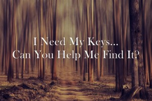 I-Need-My-Keys-Can-You (2)